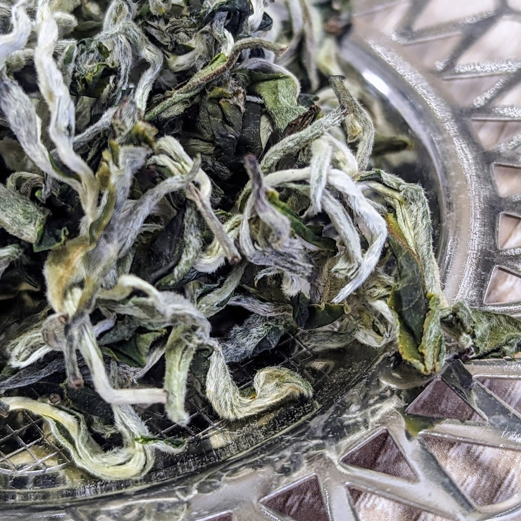 Ruanzhi green tea - Tea Topia
