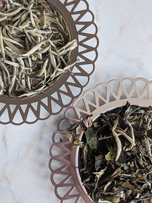 Unveiling the Elegance of White Tea: Health Benefits, Preparation, and Processing