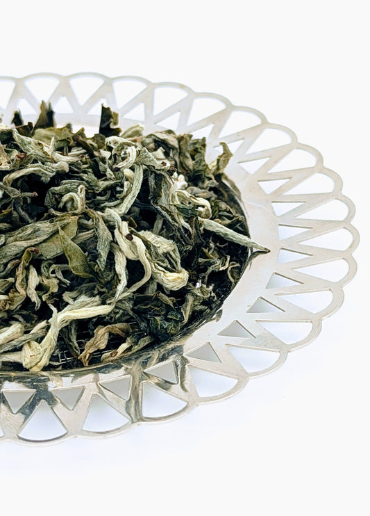 Green tea from Ruanzhi cultivar, first harvest grown in Pu erh city, China 